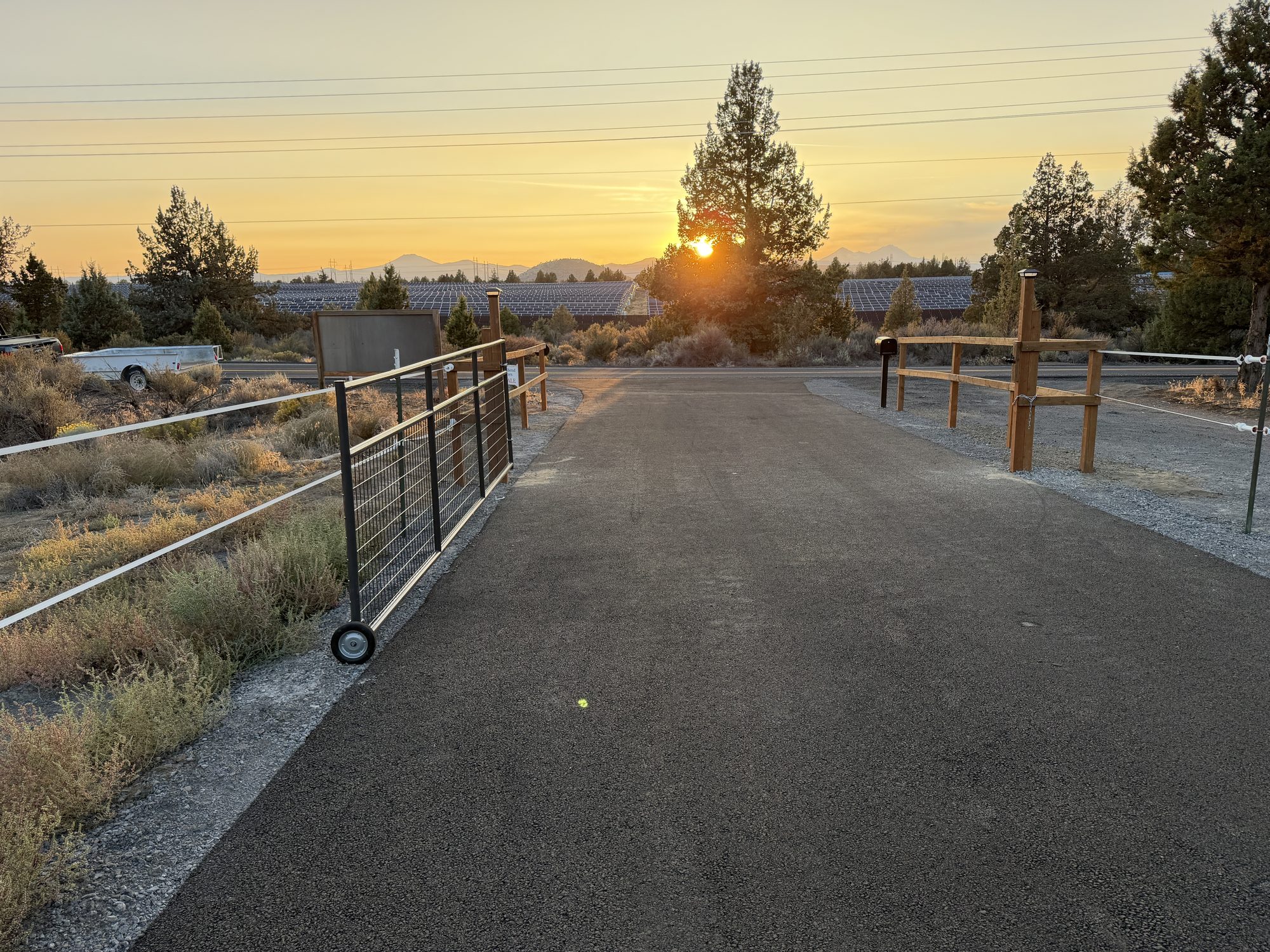 View down the driveway toward the gated entrance at sunrise