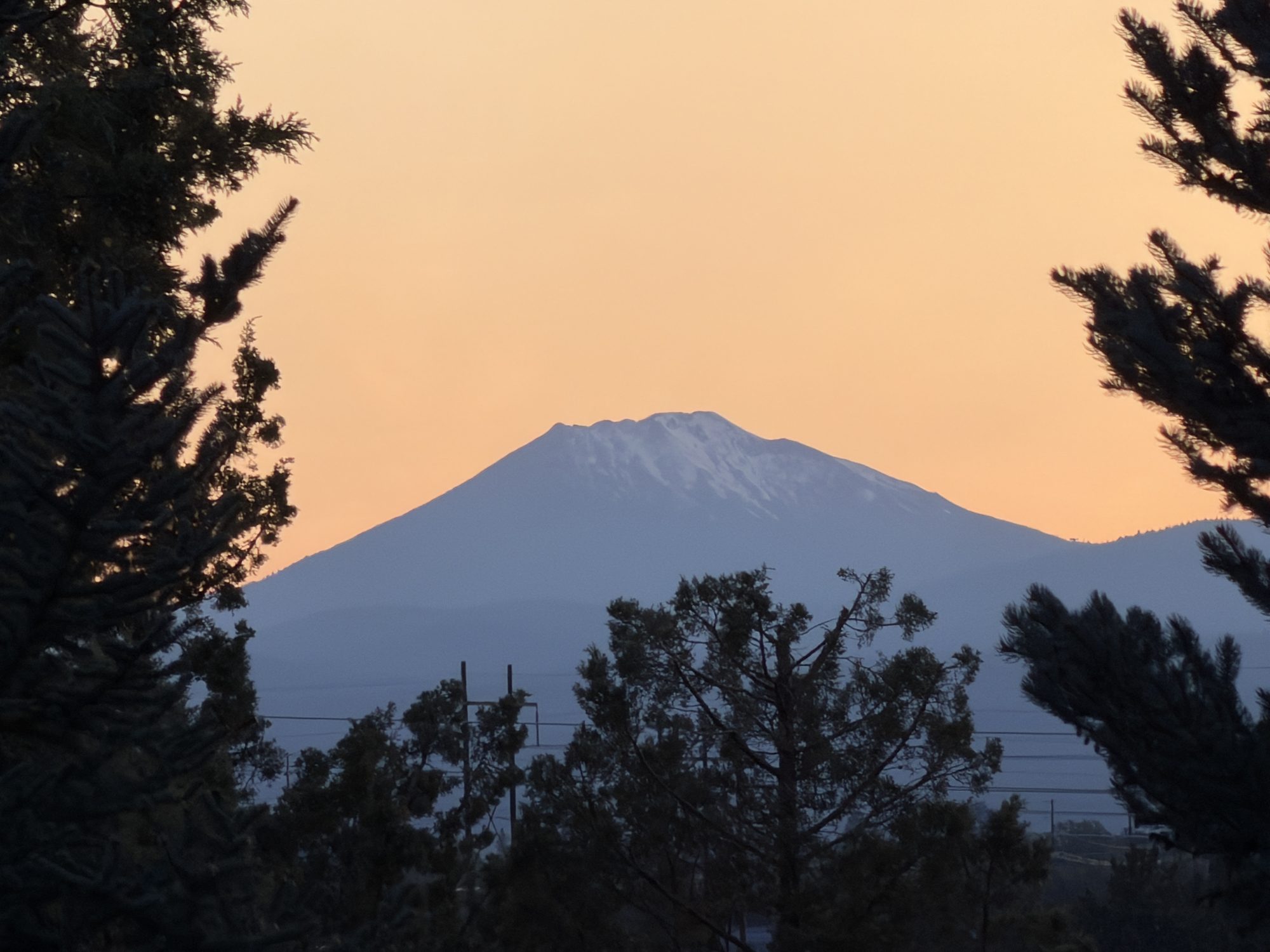 Silhouette of a snow-capped Cascade peak at sunset, framed by pines
